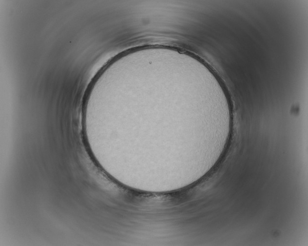 X0000113950891200910232004