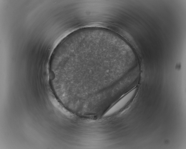 X0000113950892200910232004