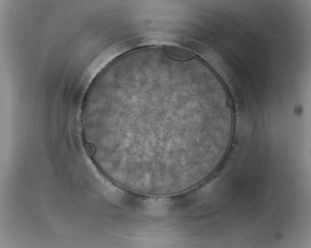X0000113950893200910232004