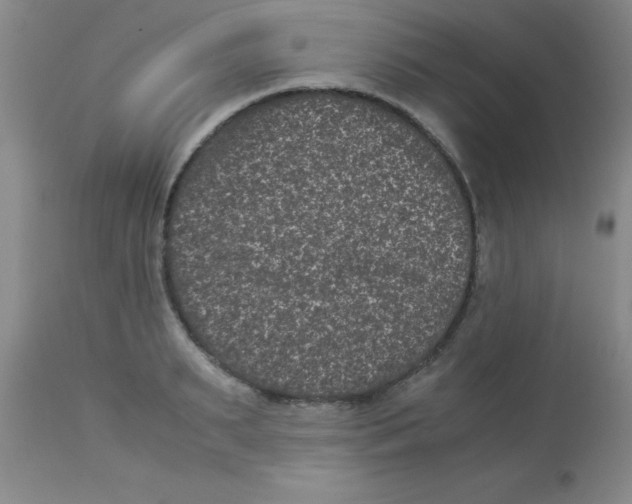 X0000113950895200910232004