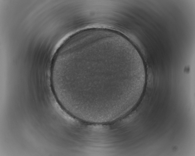 X0000113950896200910232004