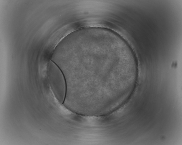 X0000113950897200910232004