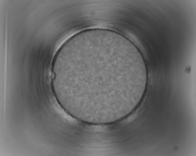 X0000113950900200910232004