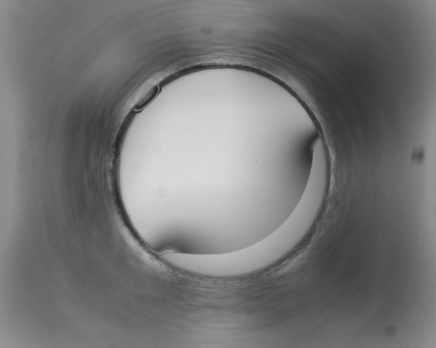 X0000113950901200910232004