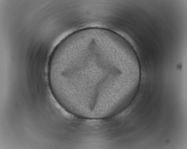 X0000113950902200910232004