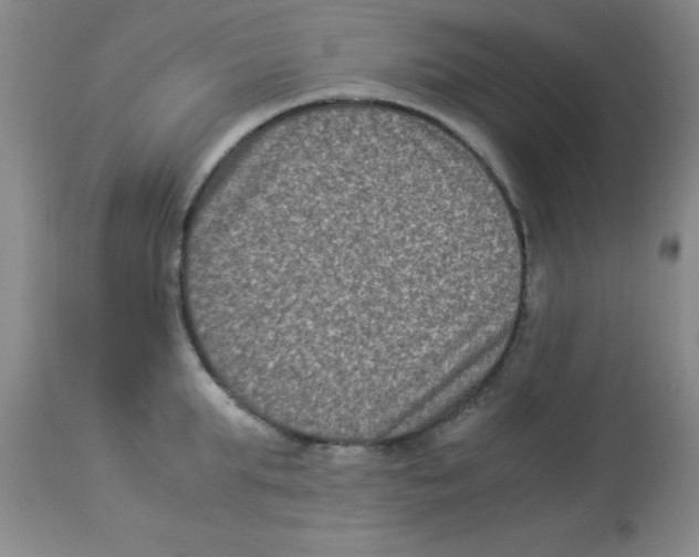 X0000113950903200910232004