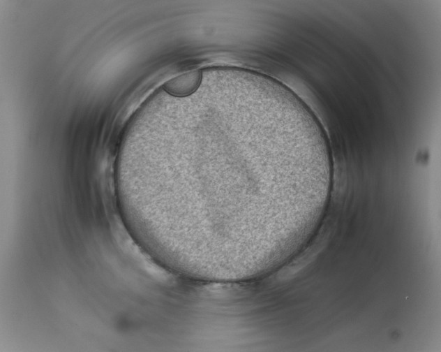 X0000113950906200910232004