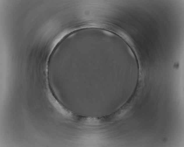X0000113950907200910232004
