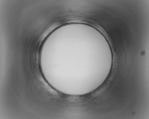 X0000113950909200910232004