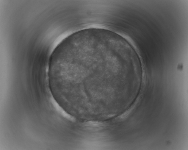 X0000113950910200910232004