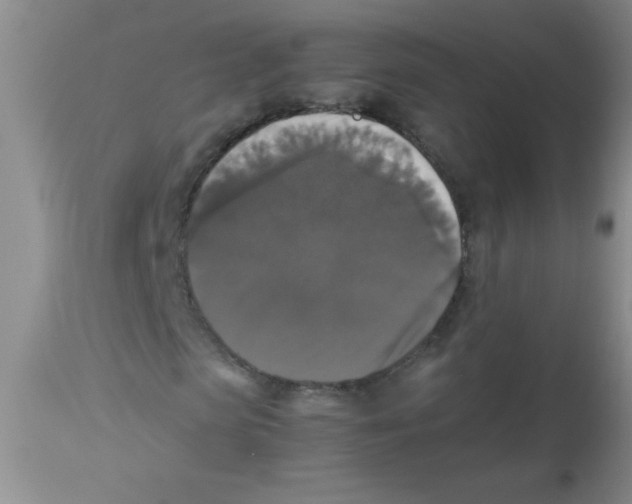 X0000113950913200910232003