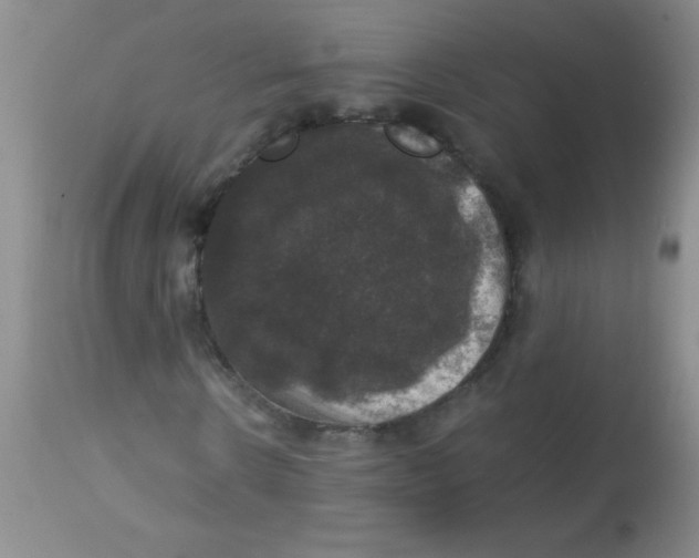 X0000113950914200910232003