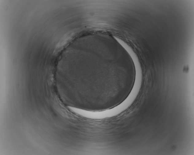 X0000113950916200910232003