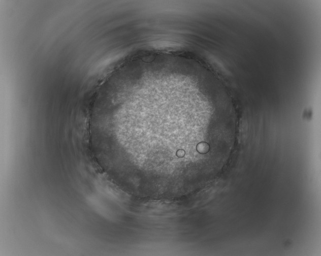 X0000113950917200910232003