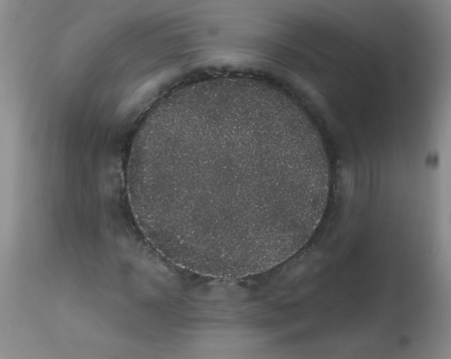 X0000113950918200910232003
