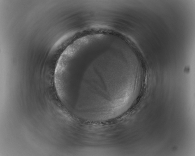X0000113950919200910232003