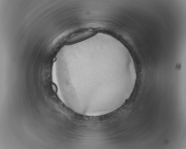 X0000113950920200910232003