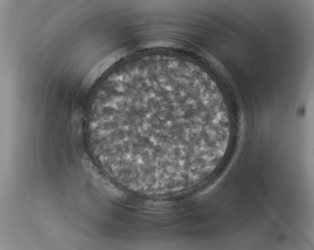 X0000113950921200910232003