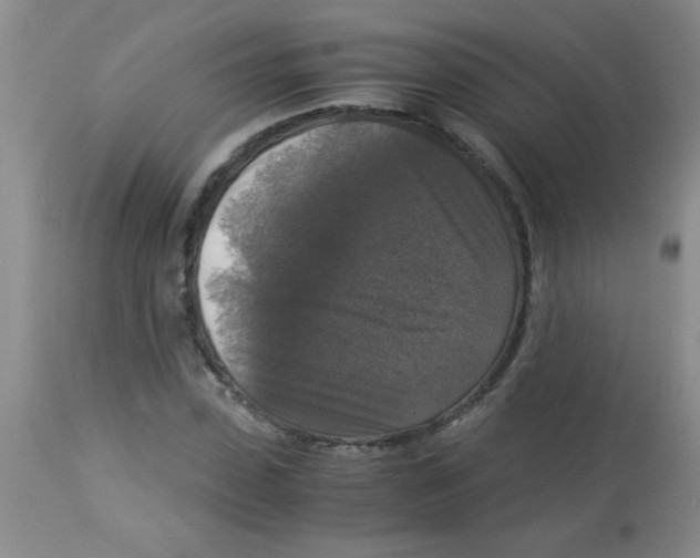 X0000113950923200910232003