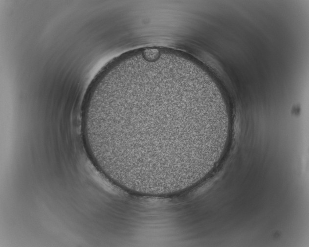 X0000113950924200910232003