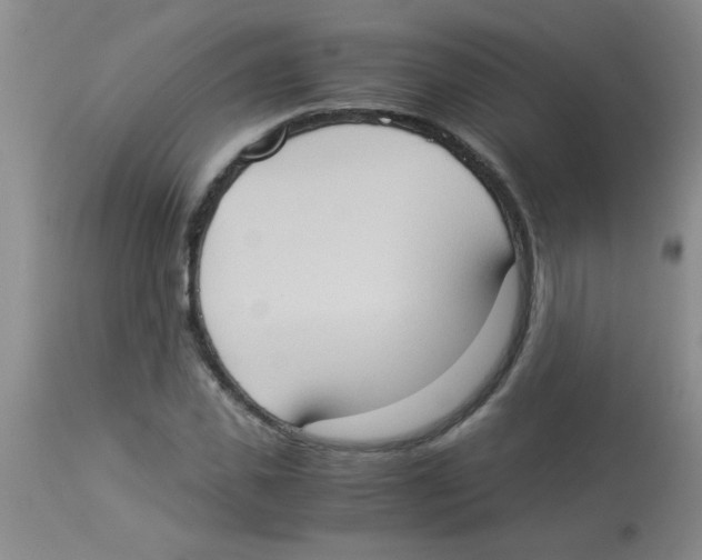 X0000113950925200910232003