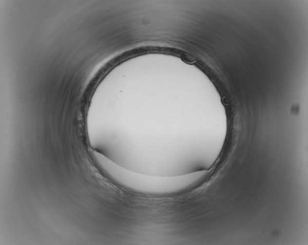 X0000113950926200910232003