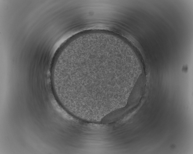 X0000113950928200910232003