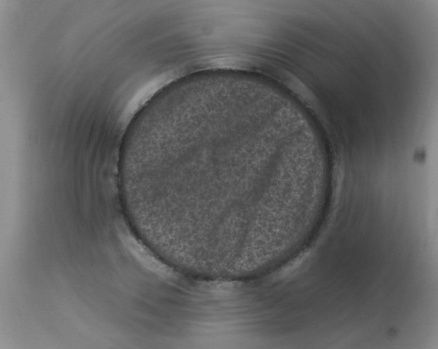 X0000113950930200910232003