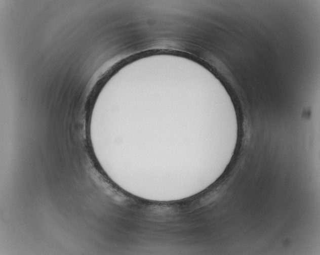 X0000113950931200910232003