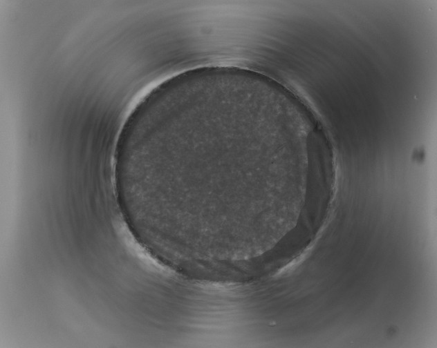 X0000113950932200910232003