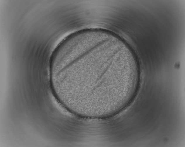 X0000113950934200910232003