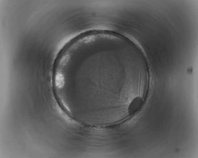 X0000113950935200910232003