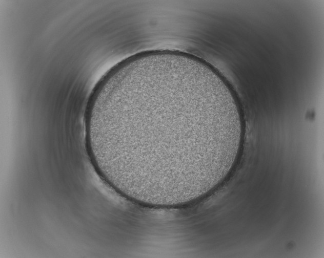 X0000113950936200910232003