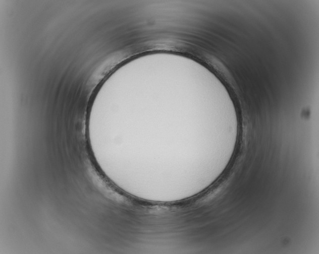 X0000113950938200910232003