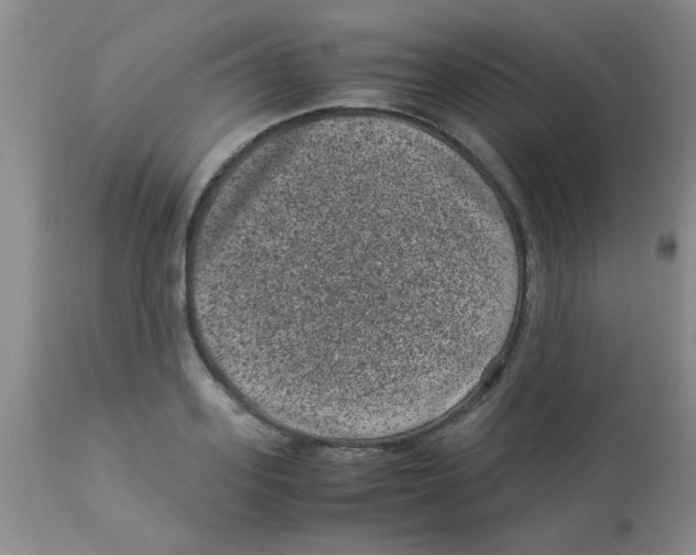 X0000113950939200910232003