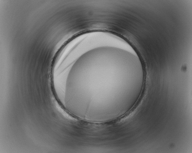 X0000113950941200910232003
