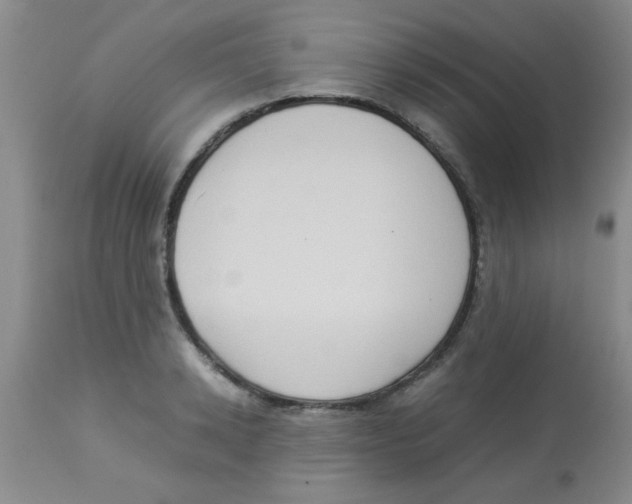X0000113950942200910232003