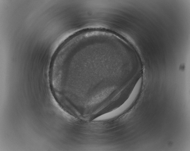 X0000113950943200910232003
