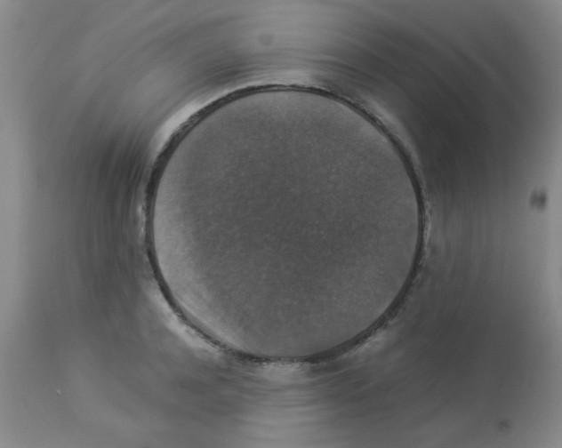 X0000113950944200910232003