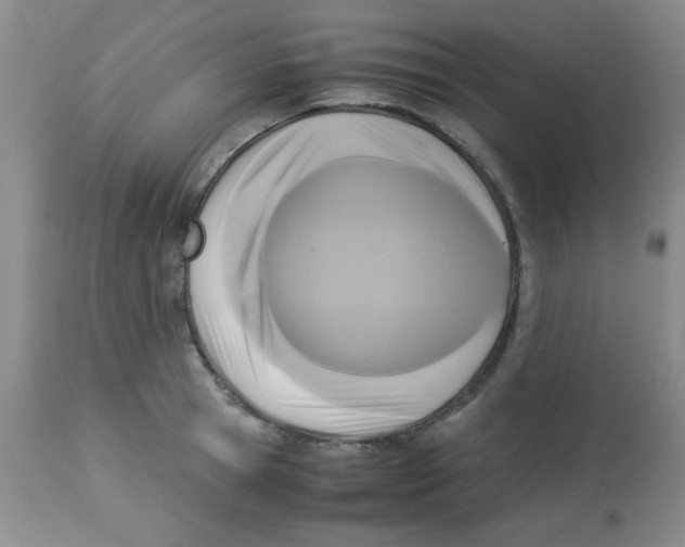 X0000113950945200910232003