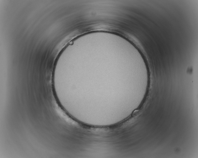 X0000113950946200910232003