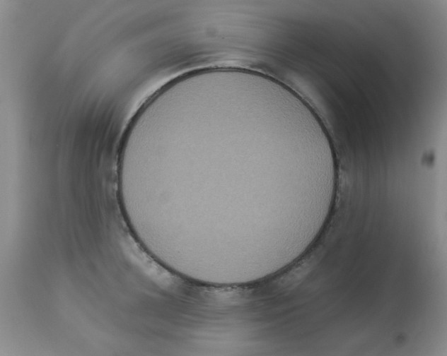 X0000113950948200910232003