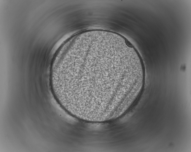 X0000113950949200910232003