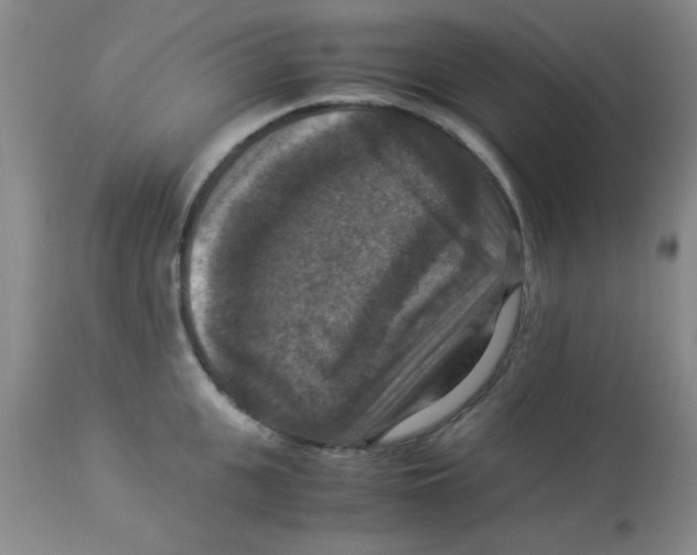 X0000113950951200910232003