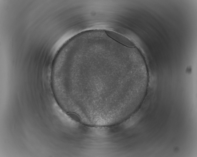 X0000113950952200910232003