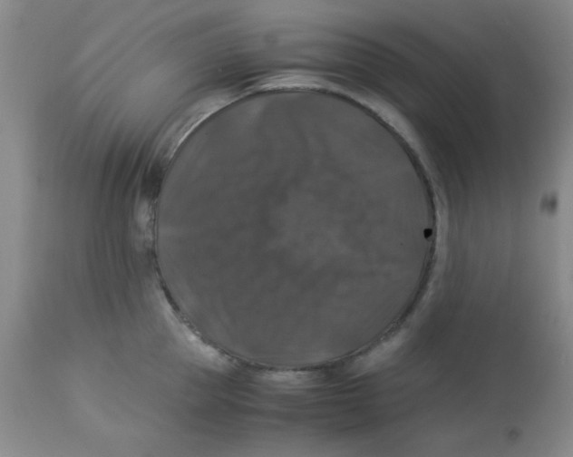 X0000113950953200910232003