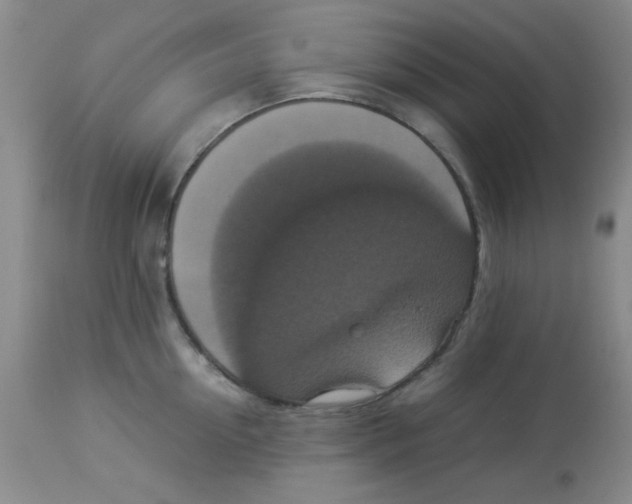 X0000113950954200910232003