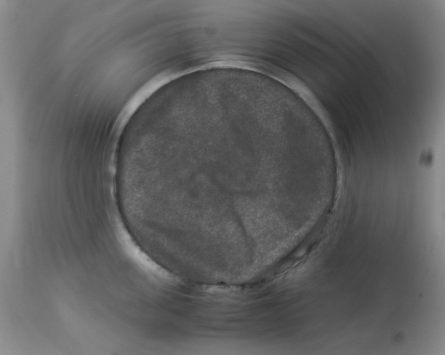 X0000113950955200910232003