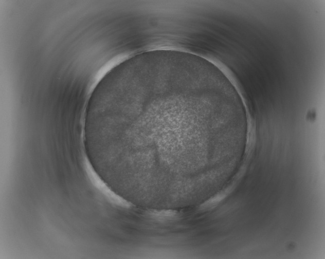 X0000113950957200910232003