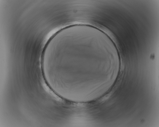 X0000113950958200910232003